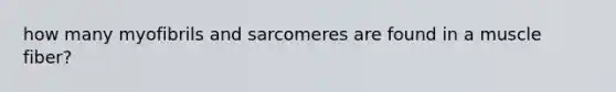 how many myofibrils and sarcomeres are found in a muscle fiber?