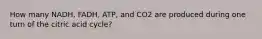 How many NADH, FADH, ATP, and CO2 are produced during one turn of the citric acid cycle?