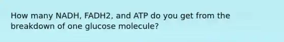 How many NADH, FADH2, and ATP do you get from the breakdown of one glucose molecule?