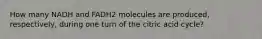 How many NADH and FADH2 molecules are produced, respectively, during one turn of the citric acid cycle?