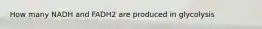 How many NADH and FADH2 are produced in glycolysis