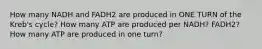 How many NADH and FADH2 are produced in ONE TURN of the Kreb's cycle? How many ATP are produced per NADH? FADH2? How many ATP are produced in one turn?