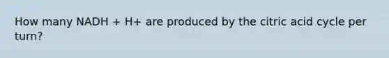 How many NADH + H+ are produced by the citric acid cycle per turn?