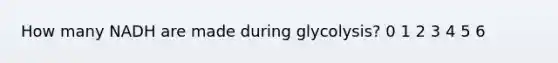 How many NADH are made during glycolysis? 0 1 2 3 4 5 6