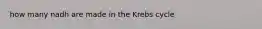 how many nadh are made in the Krebs cycle