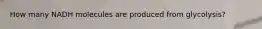 How many NADH molecules are produced from glycolysis?