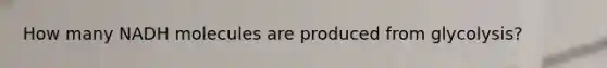 How many NADH molecules are produced from glycolysis?