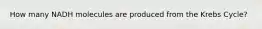 How many NADH molecules are produced from the Krebs Cycle?