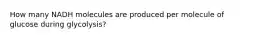 How many NADH molecules are produced per molecule of glucose during glycolysis?