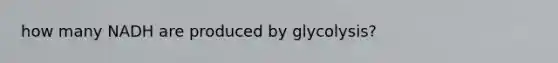 how many NADH are produced by glycolysis?