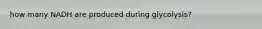 how many NADH are produced during glycolysis?