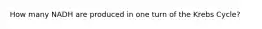 How many NADH are produced in one turn of the Krebs Cycle?