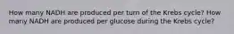 How many NADH are produced per turn of the Krebs cycle? How many NADH are produced per glucose during the Krebs cycle?