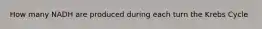 How many NADH are produced during each turn the Krebs Cycle