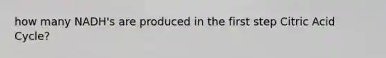 how many NADH's are produced in the first step Citric Acid Cycle?