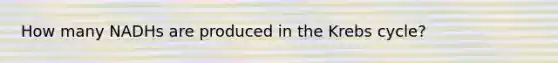 How many NADHs are produced in the Krebs cycle?