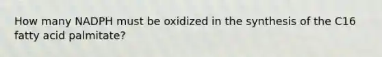 How many NADPH must be oxidized in the synthesis of the C16 fatty acid palmitate?