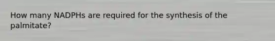 How many NADPHs are required for the synthesis of the palmitate?