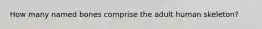 How many named bones comprise the adult human skeleton?