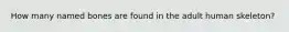 How many named bones are found in the adult human skeleton?