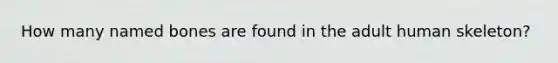 How many named bones are found in the adult human skeleton?