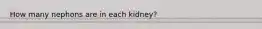 How many nephons are in each kidney?