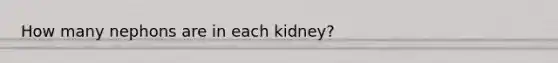 How many nephons are in each kidney?