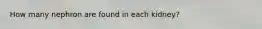 How many nephron are found in each kidney?