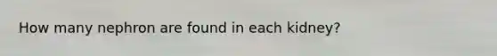 How many nephron are found in each kidney?