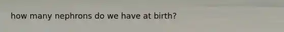 how many nephrons do we have at birth?