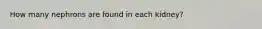 How many nephrons are found in each kidney?