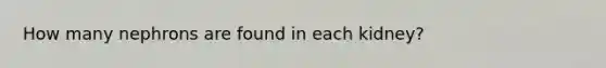 How many nephrons are found in each kidney?