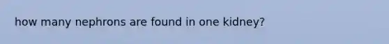 how many nephrons are found in one kidney?