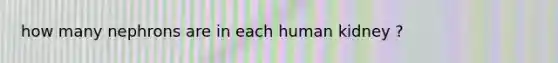how many nephrons are in each human kidney ?