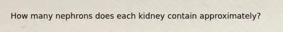 How many nephrons does each kidney contain approximately?