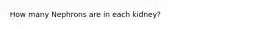 How many Nephrons are in each kidney?