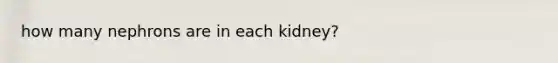 how many nephrons are in each kidney?