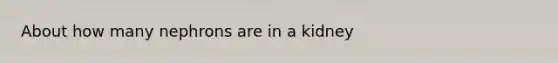 About how many nephrons are in a kidney