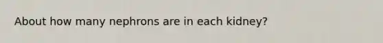 About how many nephrons are in each kidney?