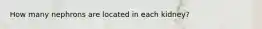 How many nephrons are located in each kidney?