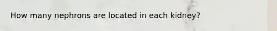 How many nephrons are located in each kidney?
