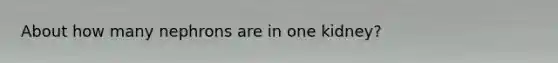 About how many nephrons are in one kidney?