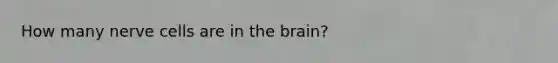 How many nerve cells are in the brain?