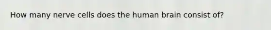 How many nerve cells does the human brain consist of?