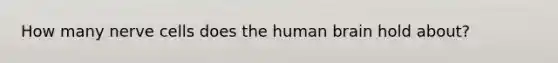 How many nerve cells does the human brain hold about?