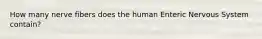 How many nerve fibers does the human Enteric Nervous System contain?