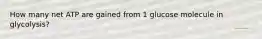 How many net ATP are gained from 1 glucose molecule in glycolysis?