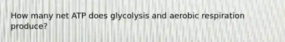 How many net ATP does glycolysis and aerobic respiration produce?