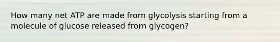 How many net ATP are made from glycolysis starting from a molecule of glucose released from glycogen?