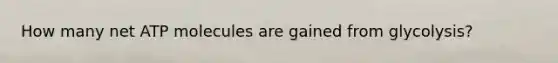 How many net ATP molecules are gained from glycolysis?
